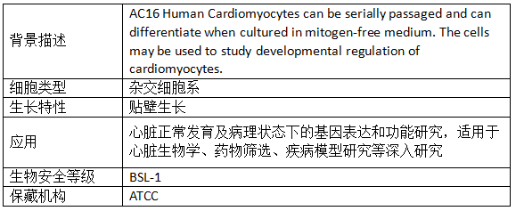 參考資料.png