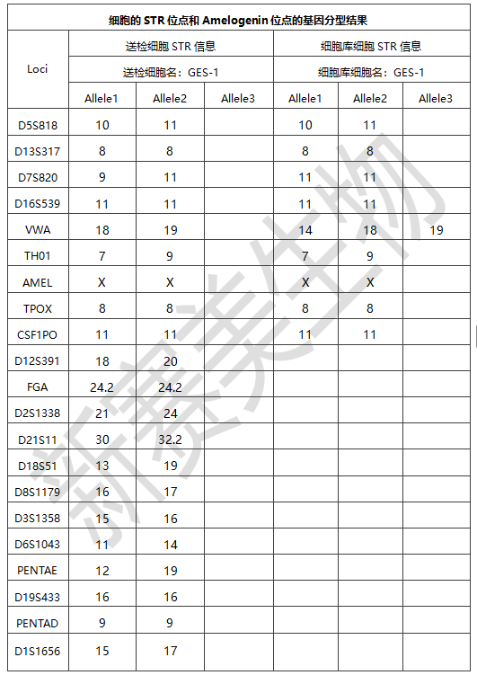 細(xì)胞樣品分化.png