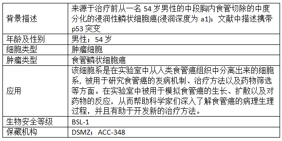 參考資料.png