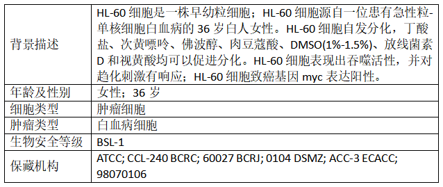 333 (2).png